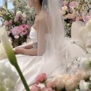 디카와 시 새로알기 | 촬영 가능한 가성비 아이폰스냅 “뉘앙스” 계약 후기 / 빈티지 디카와 땡큐카드, 폴라로이드까지!