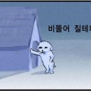 가치놉시다