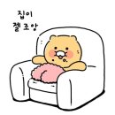 집순이