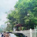 미인인셀덤
