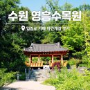 사진교실(야간) | 수원 영흥수목원 입장료 카페 야간개장 볼거리, 힐링에 딱! 솔직후기