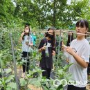 심천초등학교 이미지