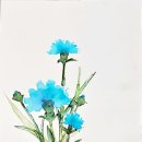 아화캘리그라피