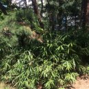 낙동2리새농촌영농조합법인 | 우수마을기업, 청년 일자리를 통해 활기를 불어넣고 주민과 예술인을 연결하다!