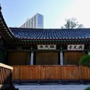 애니 신정 이미지