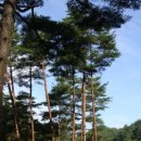 금강태양광발전소 이미지