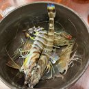 강남종합의료기 이미지