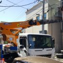 양앤정한의원 이미지