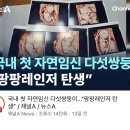 만약 임신했는데 다섯쌍둥이면 어짬.. 이미지