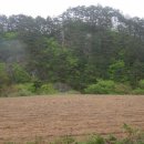 전원오토캠핑장 이미지