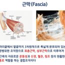 메디웰의원 이미지
