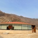 빌라누트 이미지