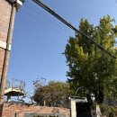 사직산3길 12, (문화동) | 충주 카페 추천,단B커피숍