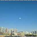 금호부동산골드공인중개사사무소 | 부평부동산 신뢰로 빛나는 부동산 파트너, 그랑캐슬부평골드공인중개사 사용 후기