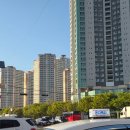 119 | LG vs NC 260408 원정경기,NC파크 119구역 16열1-2좌석후기, nc파크 먹거리 납작만두와회무침,칠리새우