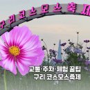 구리시사회복지관 | [2025 구리 코스모스축제] 아이와 한강시민공원 교통·주차·체험 꿀팁까지