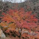 비사벌약국 이미지