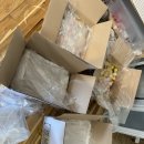 인생댕컷 반려견미용실 이미지