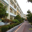 신흥여자중학교 Daum카페