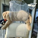 편한세탁 이미지