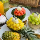 스테이550 이미지