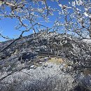 지리산국립공원 능선에 상고대가 폈어요! 이미지