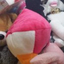 비치인형뽑기 이미지