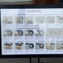 삼백돈 돈가츠 하남미사점