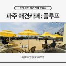 플루프 | 경기 파주 애견카페 추천 미니 수영장 생긴 10kg 이하 소형견 천국 플루프 후기 (대형견 대관 정보)