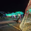 해남군청 사거리 이미지