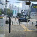 삼호동물병원 이미지