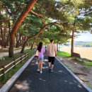 송림공원 내 이미지