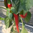 모야농장 이미지