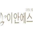 이안에스테틱 네이버블로그