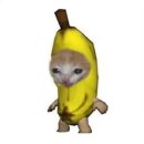 해피캣 네이버블로그