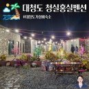 홍실민박 | 대청도 숙소 청실홍실펜션 내돈내산 솔직 후기