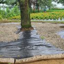 그늘막12 이미지