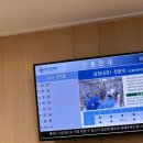 카페심실 | 30대 부정맥시술 후기(전극도자절제술)