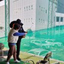 가인 골프연습장 이미지