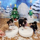 하동유치원 이미지