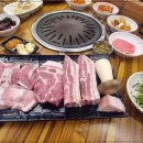 돼지30