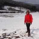 내와분교 이미지