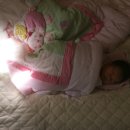 배꼽누리 이미지