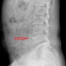 송파사랑정형외과의원 이미지