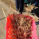 박양식목장 | 남해여행 남해양떼목장 앙마르뜨언덕