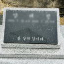 유골함 모아