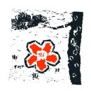 소나무를 품다 이미지