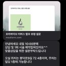 모리바이브리버스