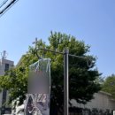 혼길마트
