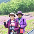 카페미미 - 부산진구 시민공원로19번길 68 | 카페미미